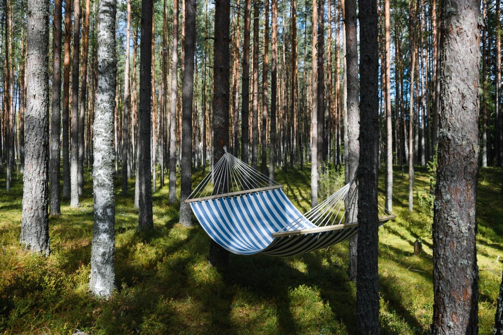 ЭКОПАРК
БОЛЬШАЯ РЫБА