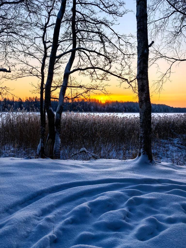 ЭКОПАРК
БОЛЬШАЯ РЫБА