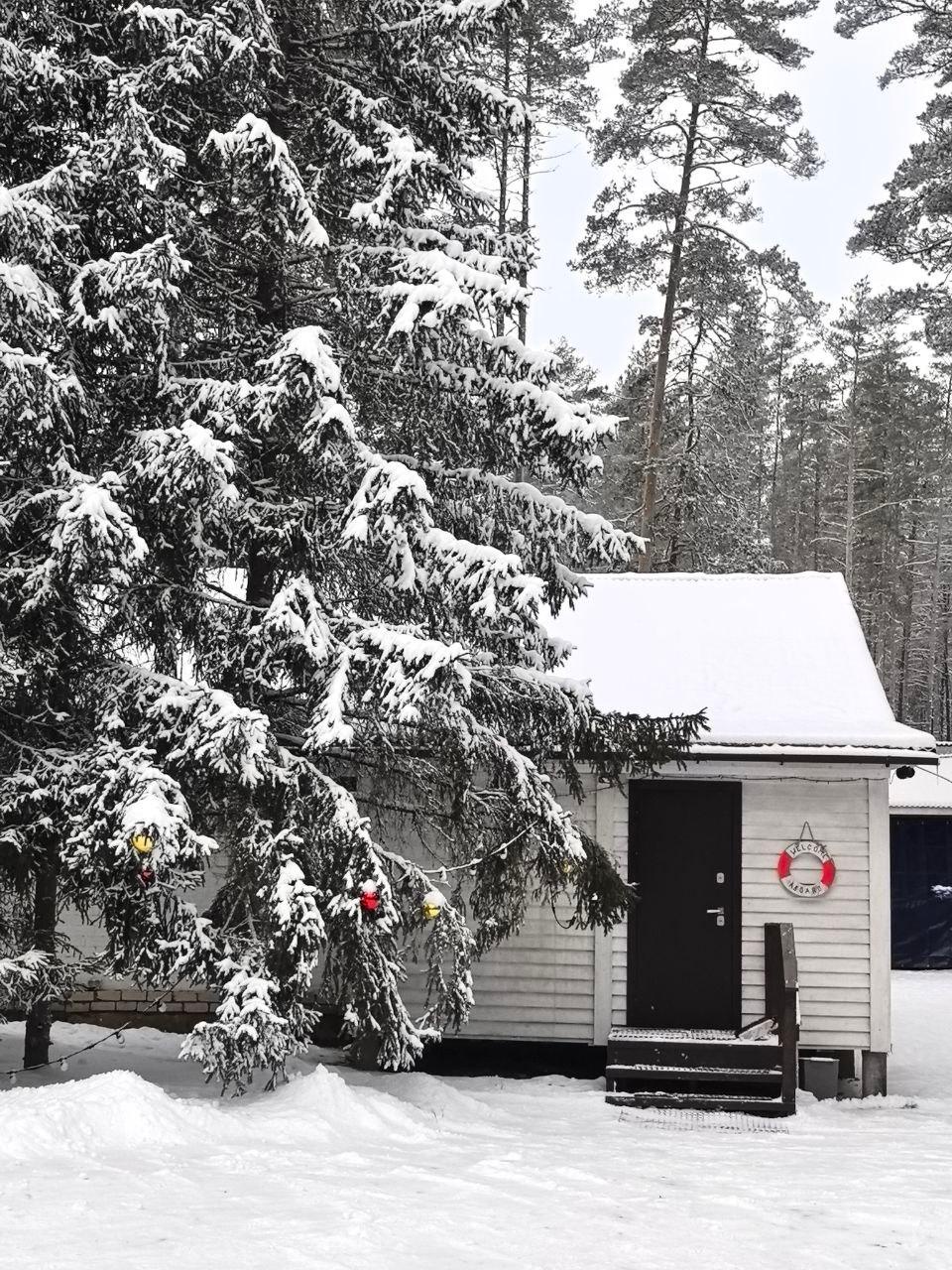 ЭКОПАРК
БОЛЬШАЯ РЫБА