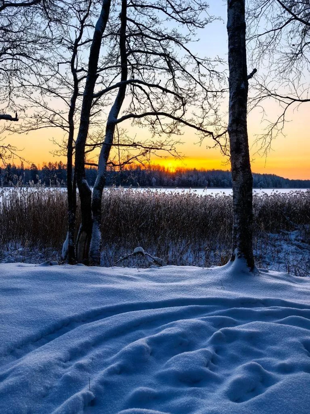 ЭКОПАРК
БОЛЬШАЯ РЫБА
