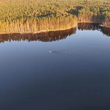 Весь экопарк на одну компанию