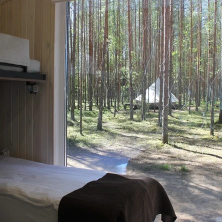 Дом с панорамным видом на лес 4+2