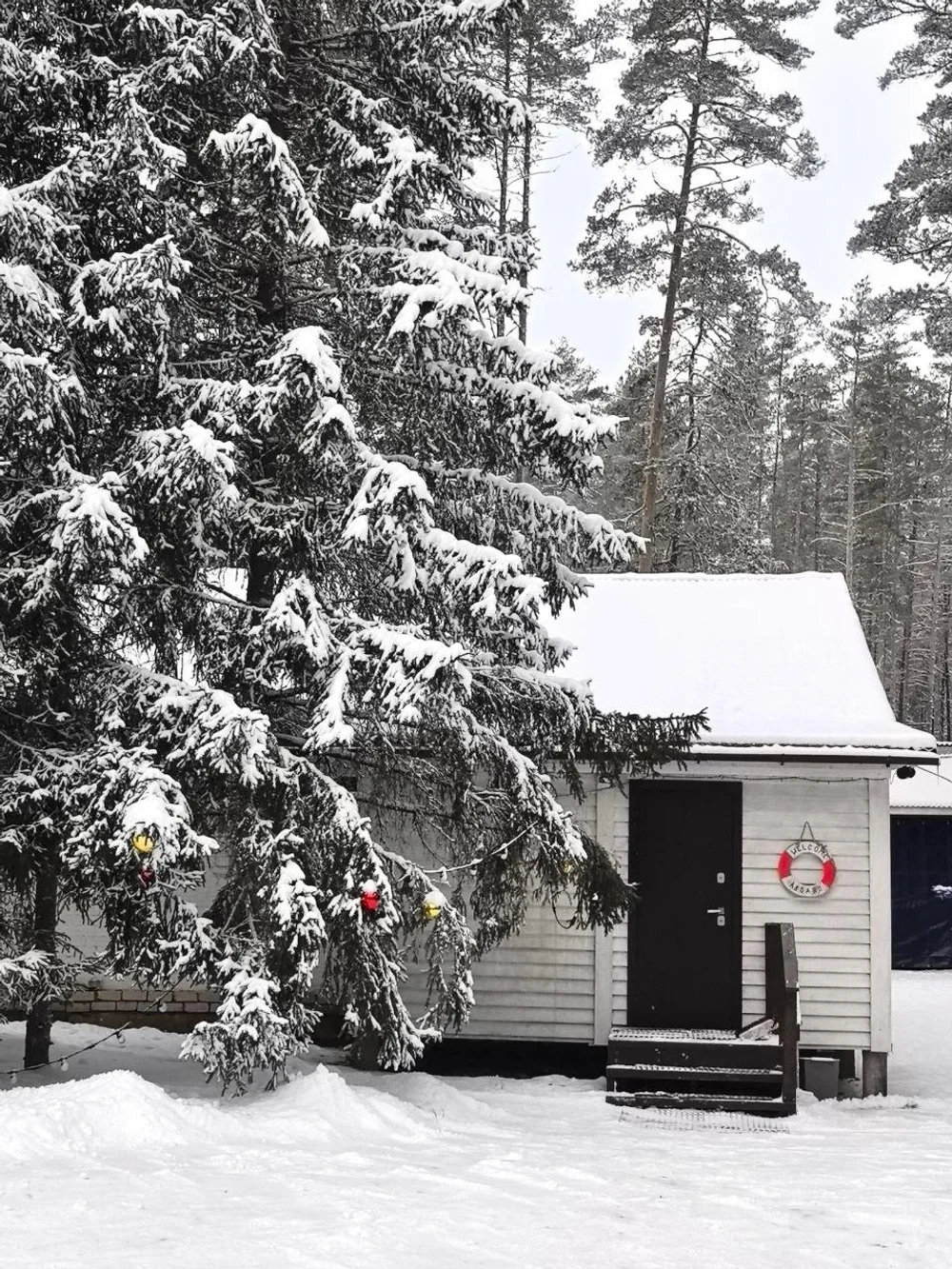 ЭКОПАРК
БОЛЬШАЯ РЫБА
