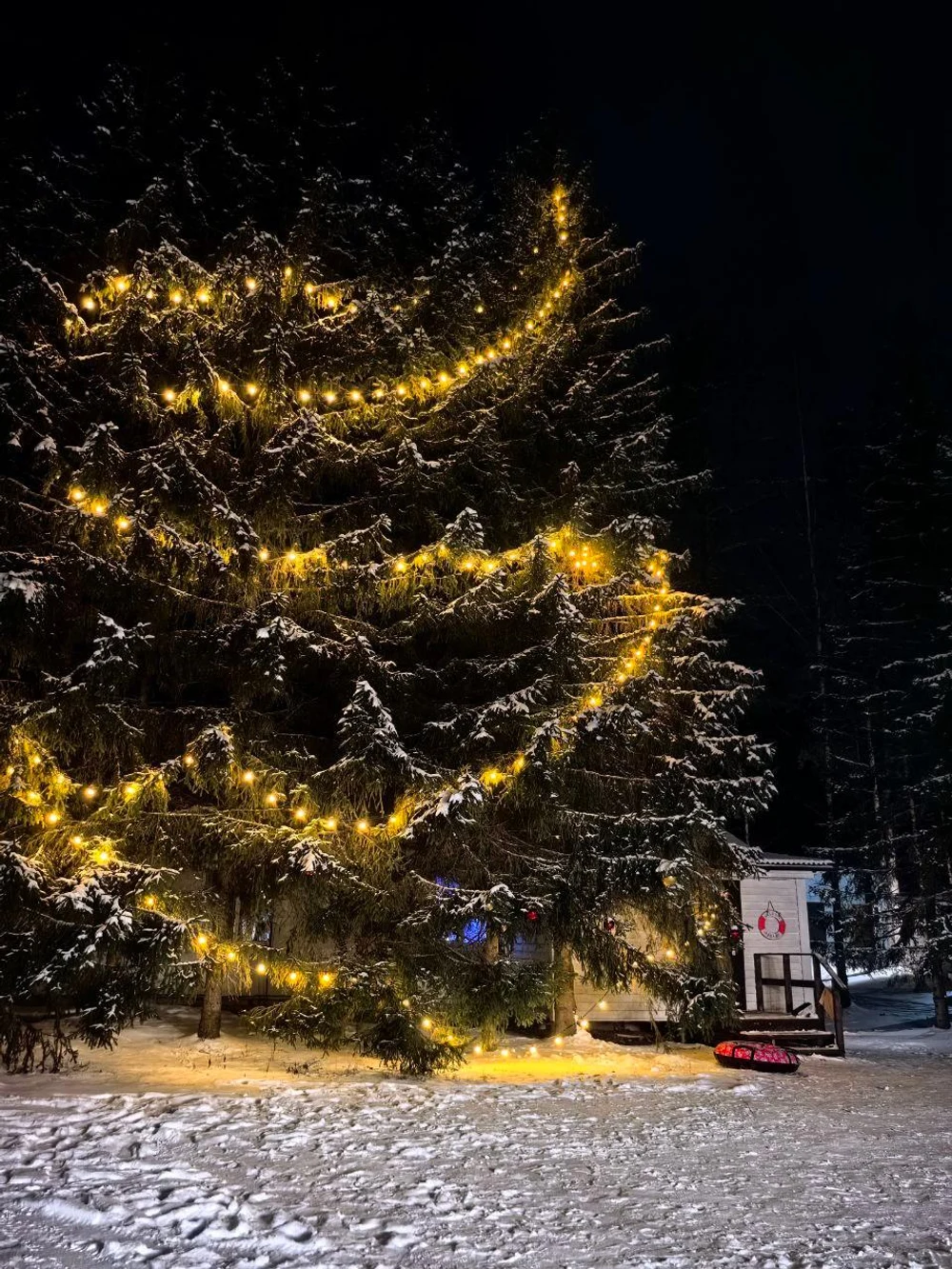 ЭКОПАРК
БОЛЬШАЯ РЫБА
