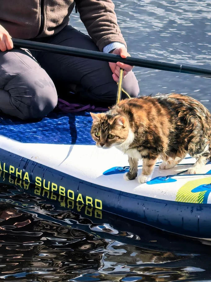 Проживание с животными
дополнительная услуга